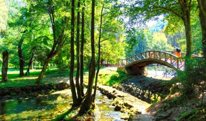 Apartment Apartman Stari Grad *